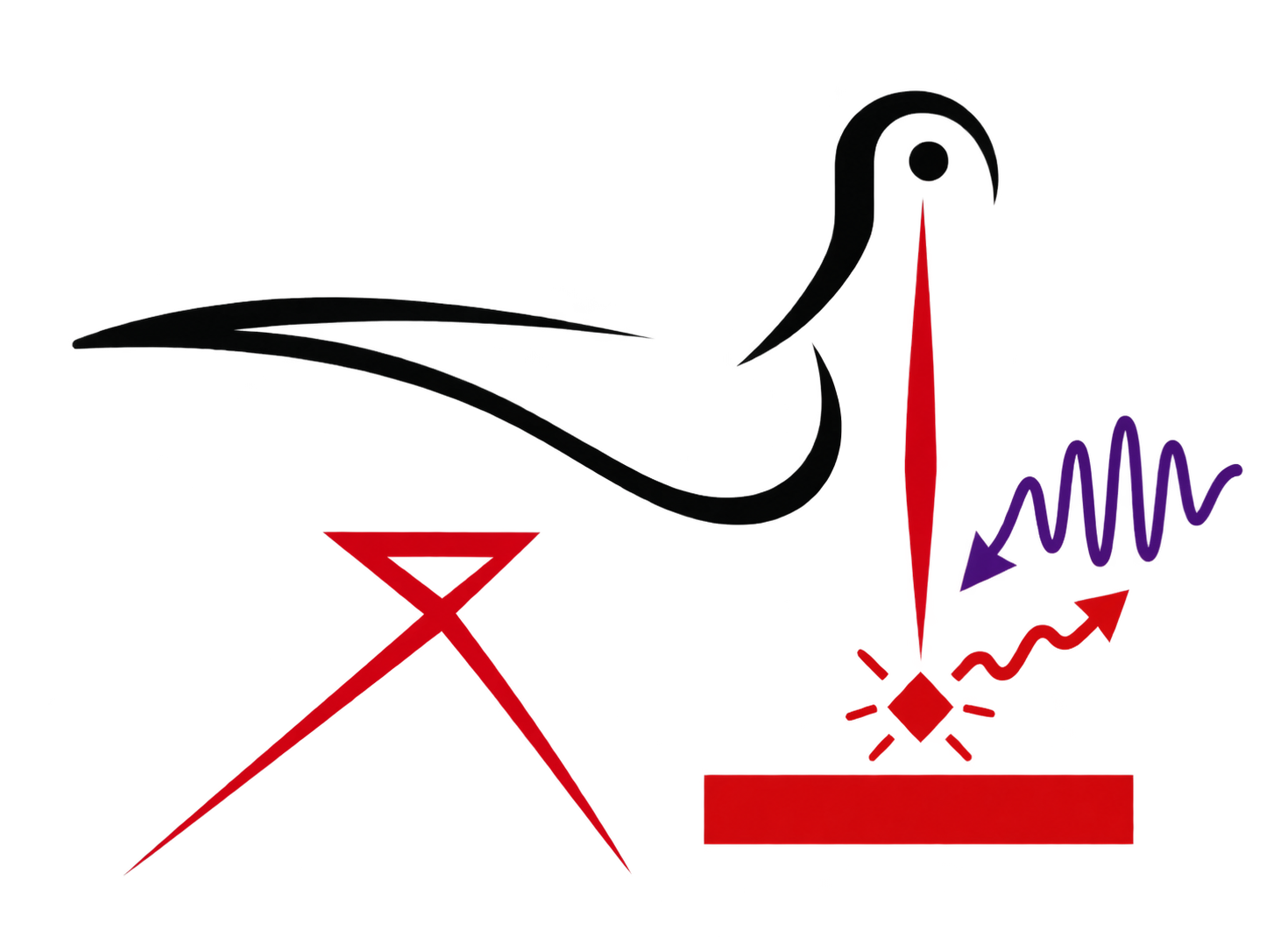 Atomic-scale optics with STM logo